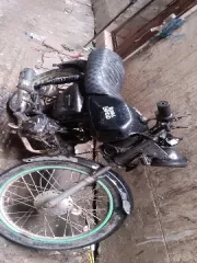Walton Cruize 100